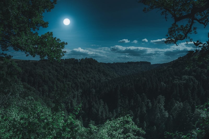 Full Moon Fête